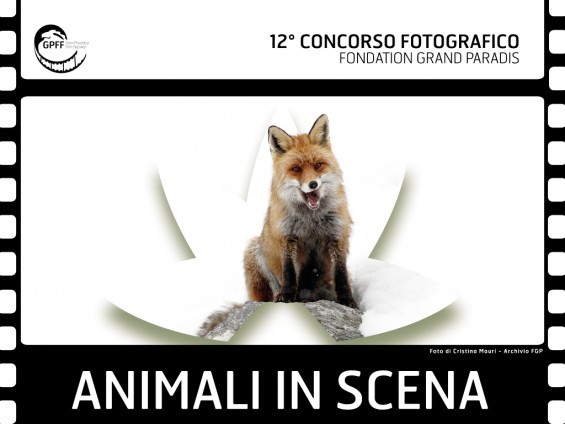 Animali in scena