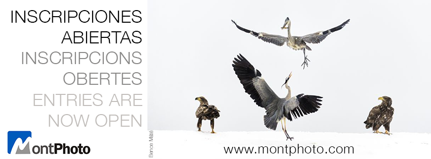 MontPhoto - concorso internazionale di fotografia naturalistica
