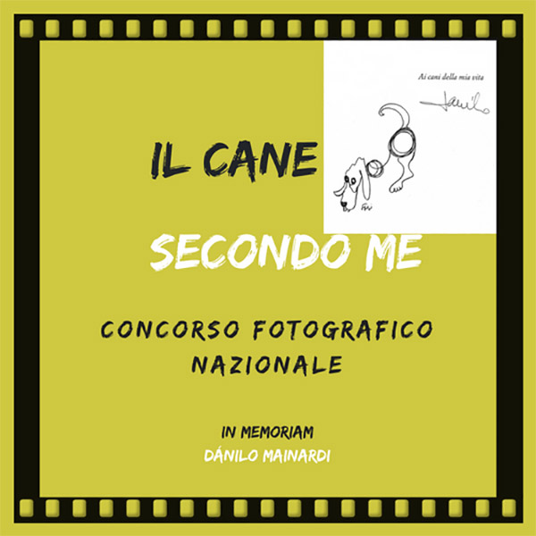 “Il cane secondo me“