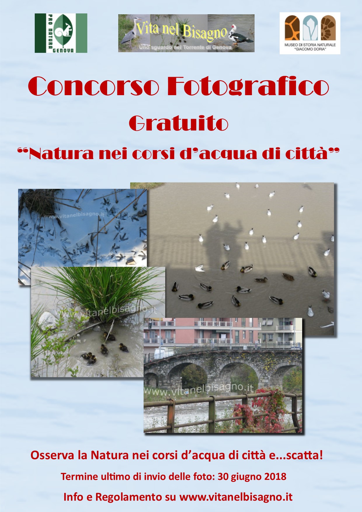 Natura nei corsi d‘  acqua di città