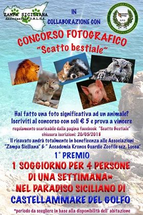 Scatto Bestiale