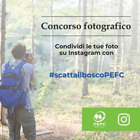#ScattailboscoPEFC10 #ScattailboscoPEFC10
