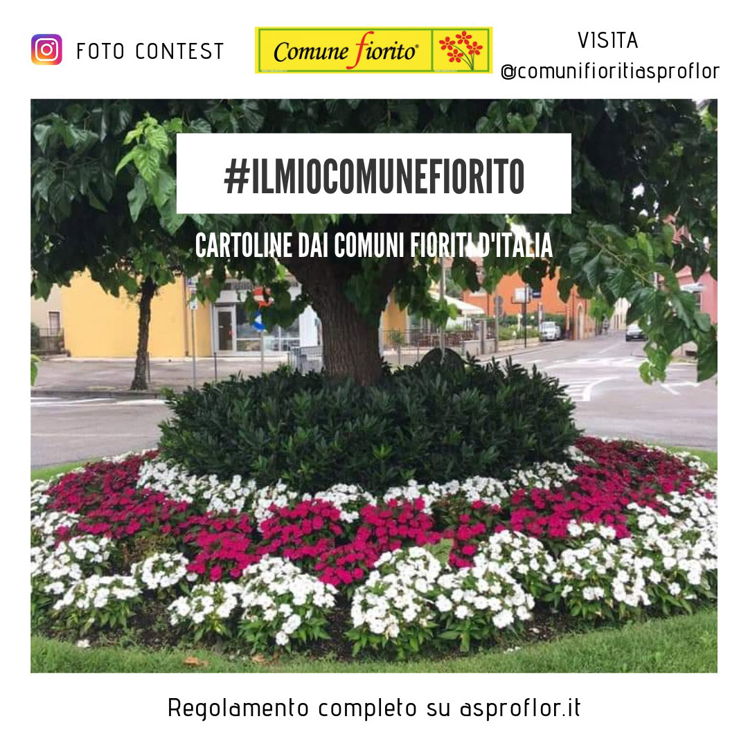 #ilMIOcomunefiorito