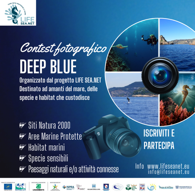 Deep Blue: un concorso per raccontare il mare fra biodiversità ed economia blu