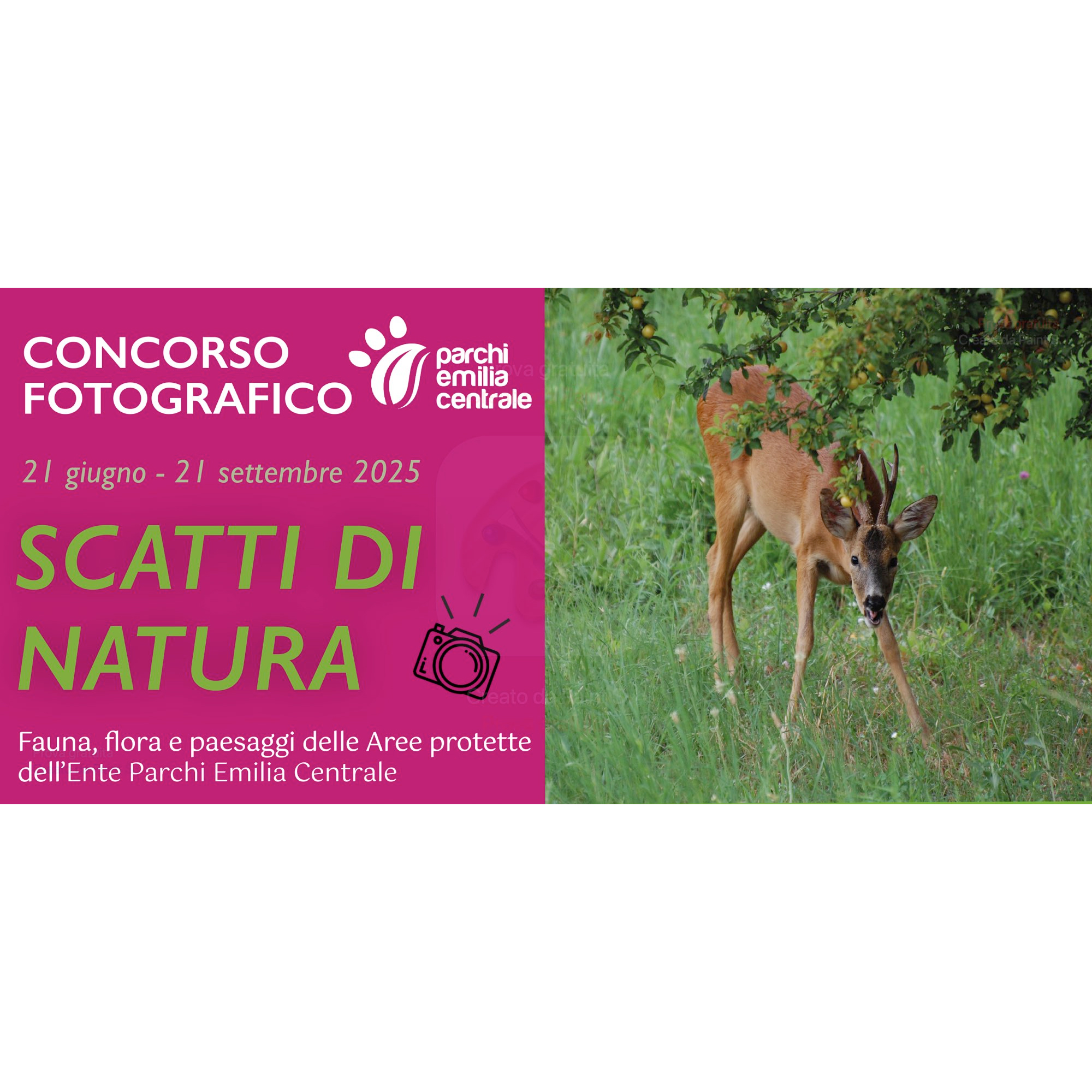 Concorso  fotografico "Scatti di Natura"