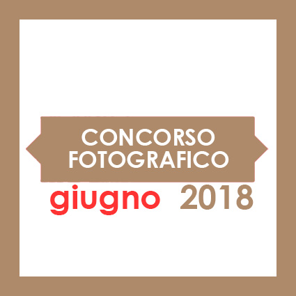 Concorso fotografico “a Lecca“