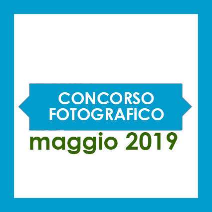 Photo contest 2019 (Lo scatto libero)