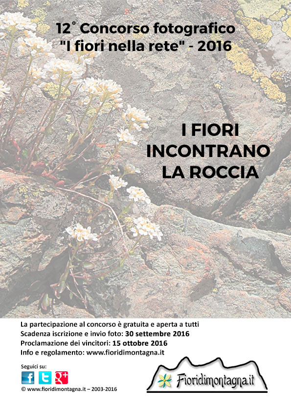 12° Concorso fotografico “I fiori nella rete“ - 2016