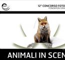 Animali in scena - Concorsi