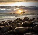 LANDSCAPE Photocontest - Concorsi