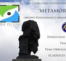 METAMORFOSI - Concorsi