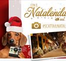 Concorso Fotografico NatalendarioIBL - Concorsi