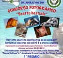 Scatto Bestiale - Concorsi