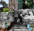 5° Concorso Fotografico “Antonio e Pierino Ursini” - Concorsi