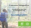 #ScattailboscoPEFC10 - Concorsi