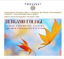 Concorso fotografico “FOLIAGE” 2025 - Concorsi