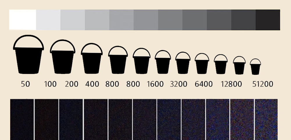 Questa scheda rappresenta il rapporto tra scelta degli ISO, la quantità di luce in ingresso e il rumore digitale: scegliendo ISO 100 il sensore ha bisogno di tanta luce per lavorare ma la qualità è ottima; scegliendo ISO 51200, il sensore può lavorare anche con pochissima luce mail rumore digitale è molto evidente.