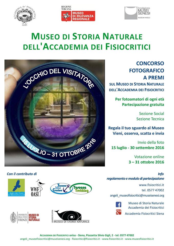 L‘ OCCHIO DEL VISITATORE L‘ OCCHIO DEL VISITATORE
