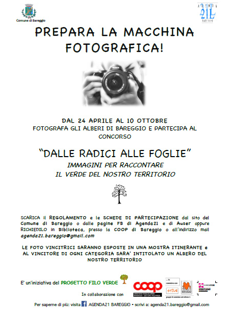 Dalle Radici alle Foglie