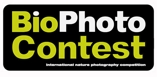 BioPhotoContest 2020