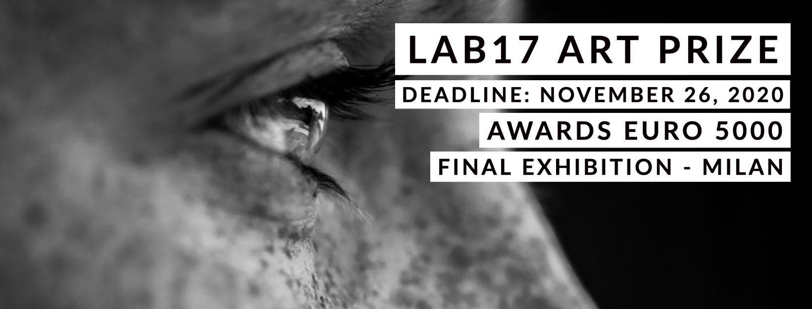 Lab. 17 Art Prize