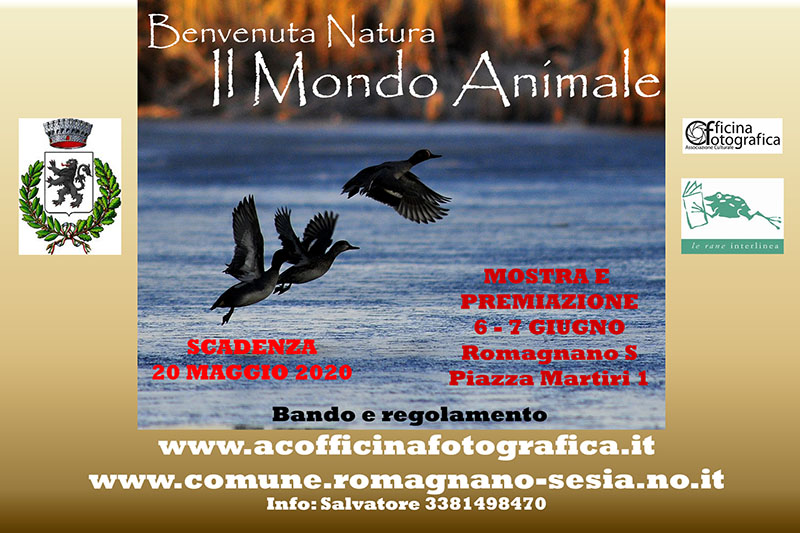 Benvenuta natura: il Mondo Animale Benvenuta natura: il Mondo Animale