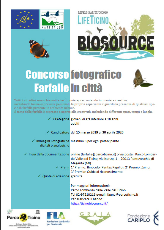 “Farfalle in città” “Farfalle in città”