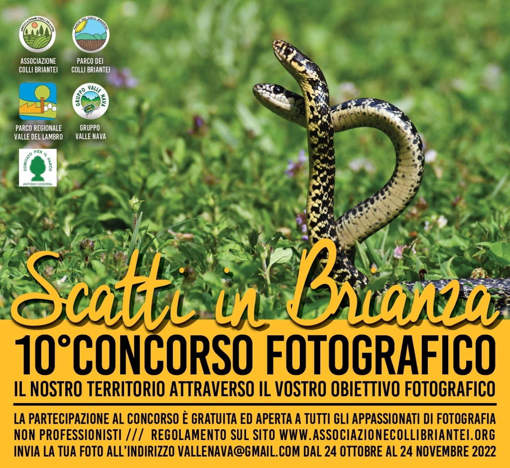 Concorso fotografico “Scatti in Brianza” 2022