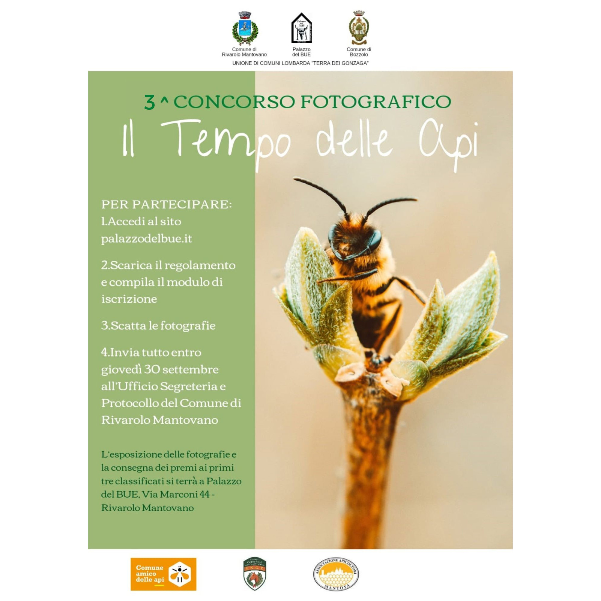 Concorso fotografico “Il tempo delle api, l