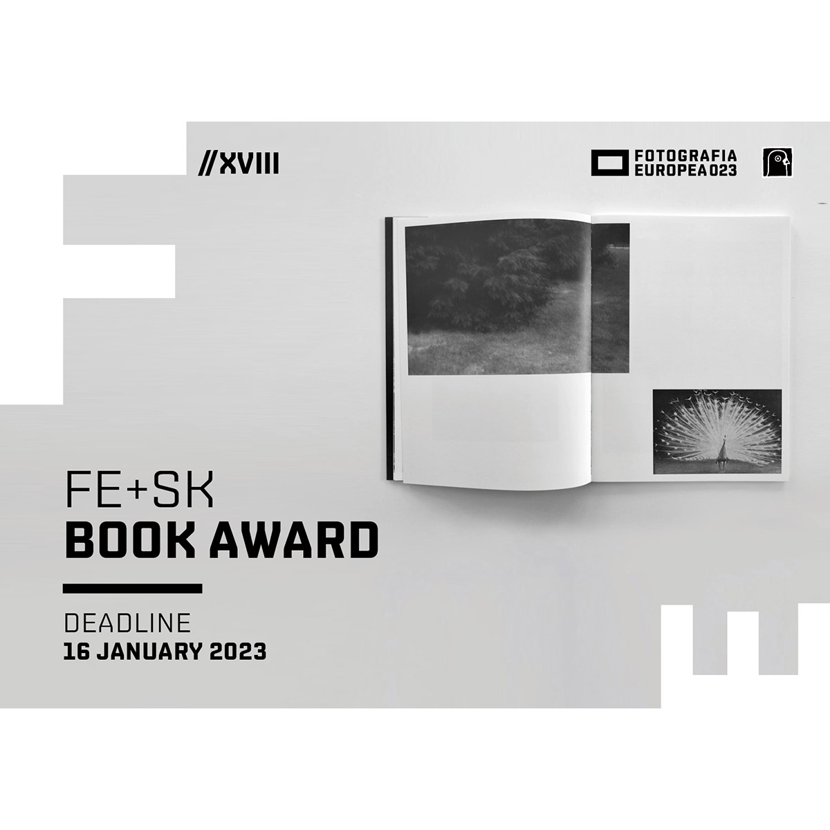 Premio di Fotografia Europea dedicato al libro fotografico - elenco-concorsi