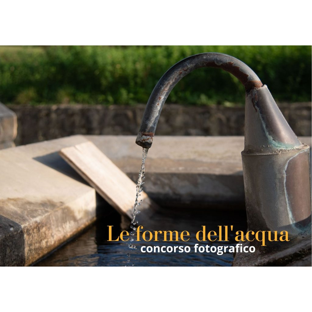 Concorso fotografico “Le forme dell Concorso fotografico “Le forme dell