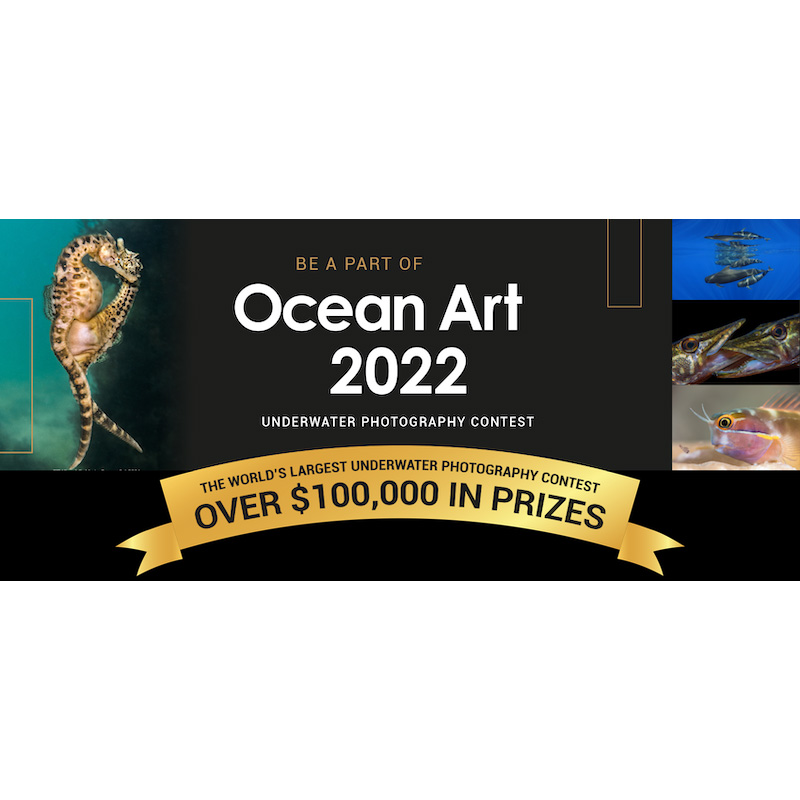 Ocean Art 2022 Underwater Photo Competition