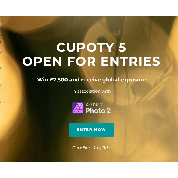 Close-up Photographer of the Year Close-up Photographer of the Year