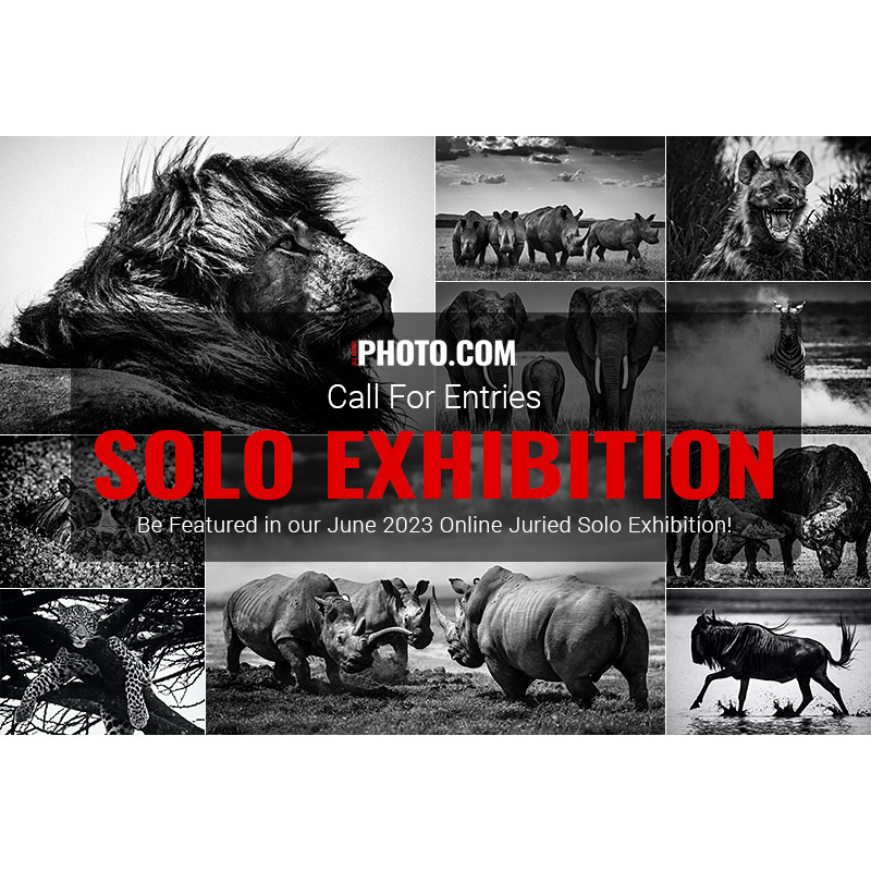 Solo Exhibition June 2023