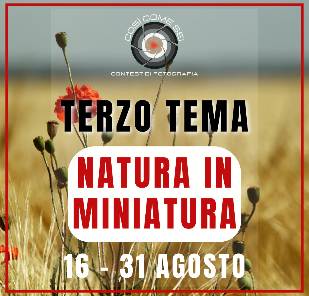Contest fotografico "Così come sei" - Terzo tema "Natura in miniatura" Contest fotografico "Così come sei" - Terzo tema "Natura in miniatura"