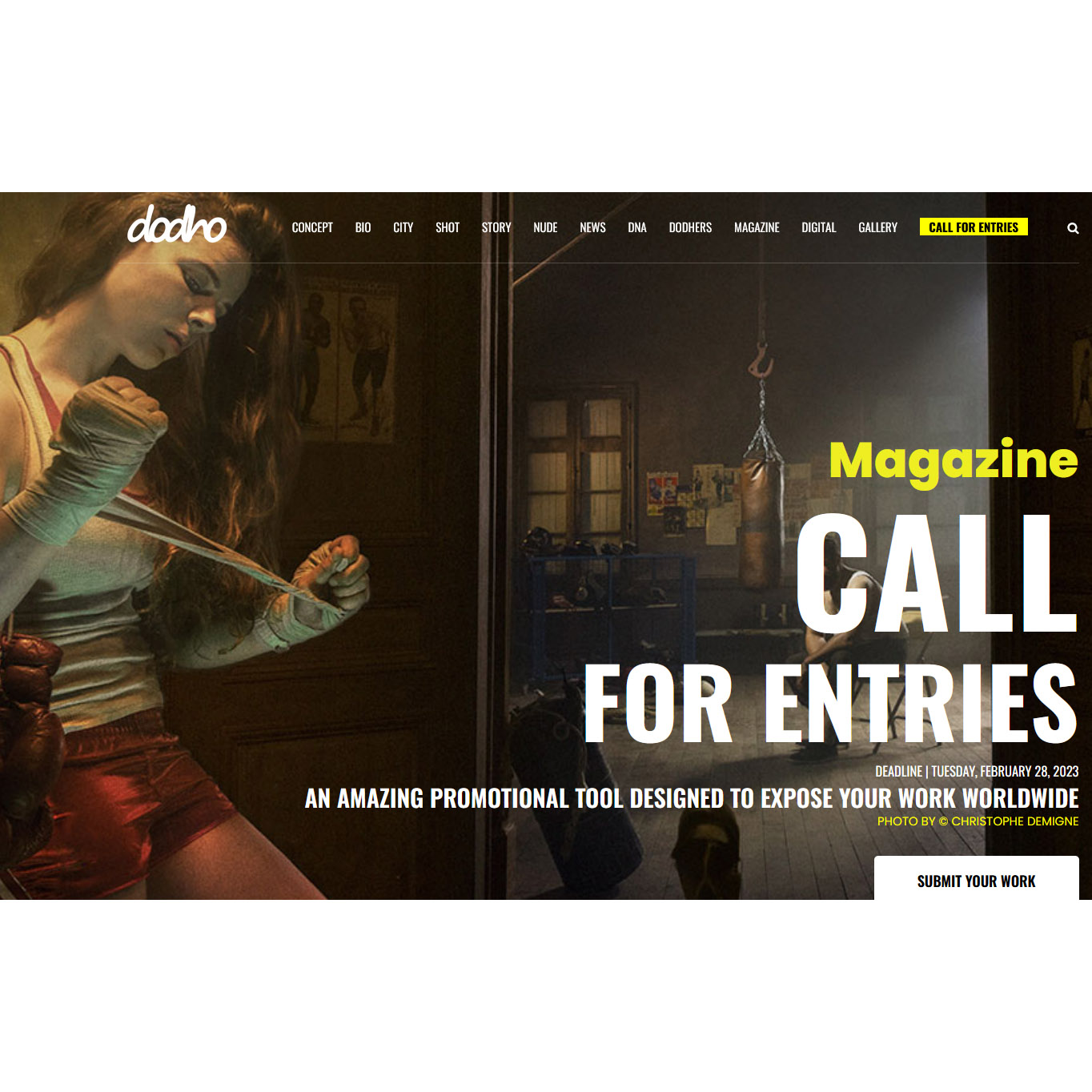 Dodho Magazine : Call For Entries