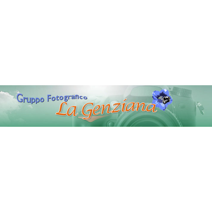 Concorso Fotografico Nazionale, L’ARTE E LA FOTOGRAFIA - III edizione Concorso Fotografico Nazionale, L’ARTE E LA FOTOGRAFIA - III edizione