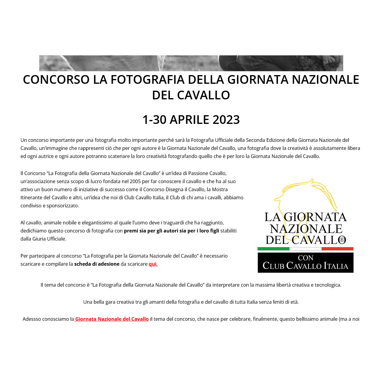 La fotografia della “Giornata nazionale del cavallo” La fotografia della “Giornata nazionale del cavallo”