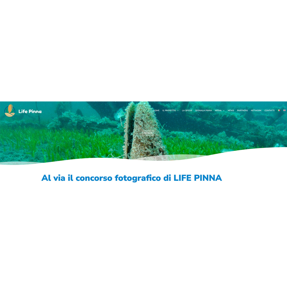 Concorsi fotografici “Vita tra gli scogli” Concorsi fotografici “Vita tra gli scogli”