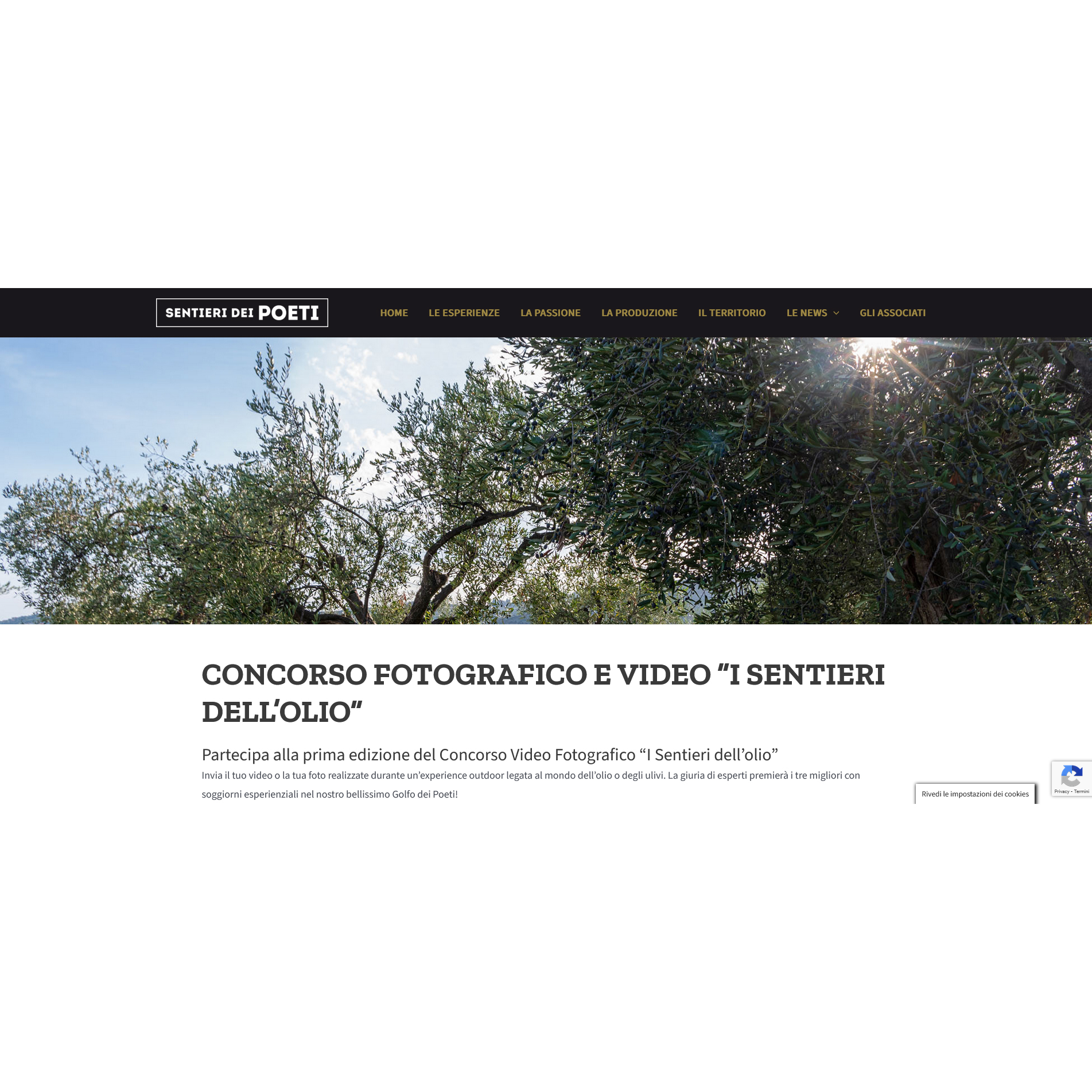 Concorso Video Fotografico “I Sentieri dell’olio” Concorso Video Fotografico “I Sentieri dell’olio”