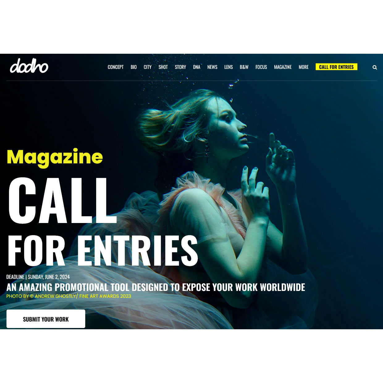 Call For Entries #29 Call For Entries #29