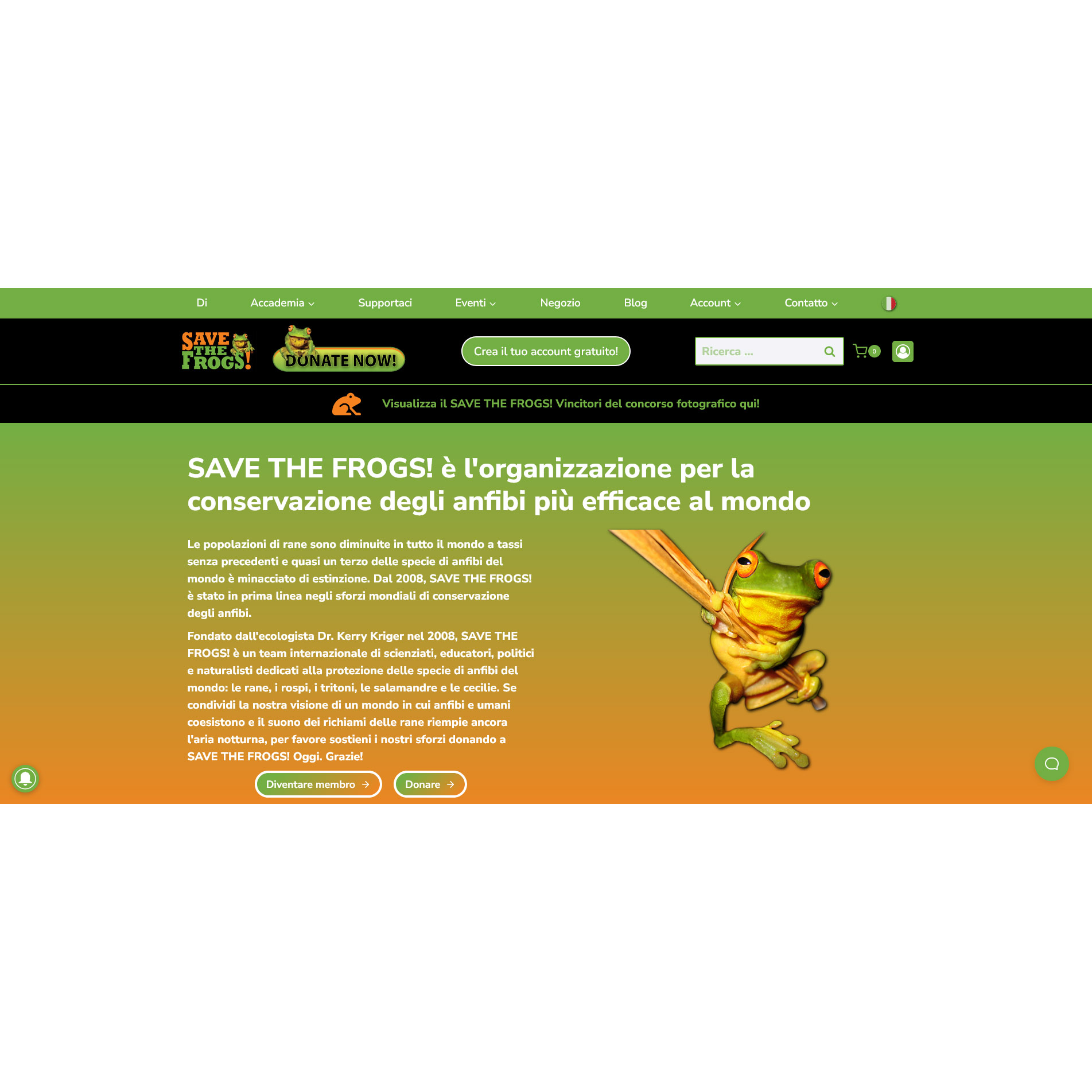 Concorso fotografico «Save the frogs» Concorso fotografico «Save the frogs»