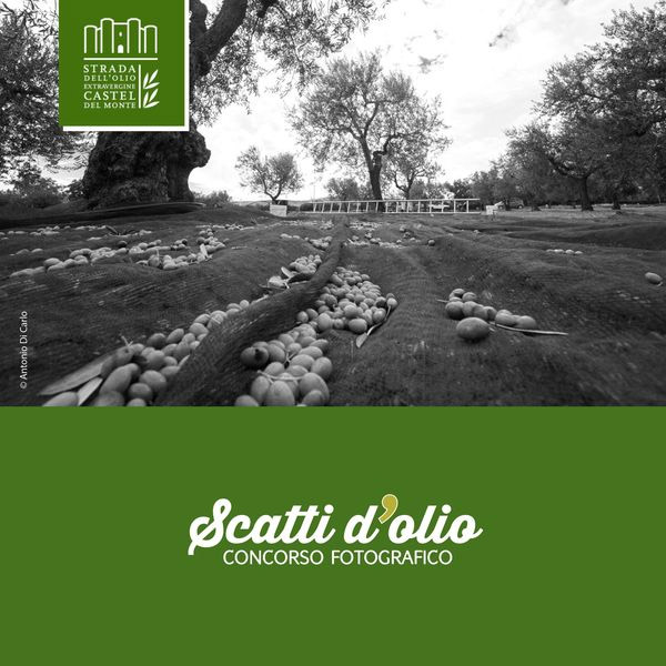 IX edizione di "SCATTI D IX edizione di "SCATTI D