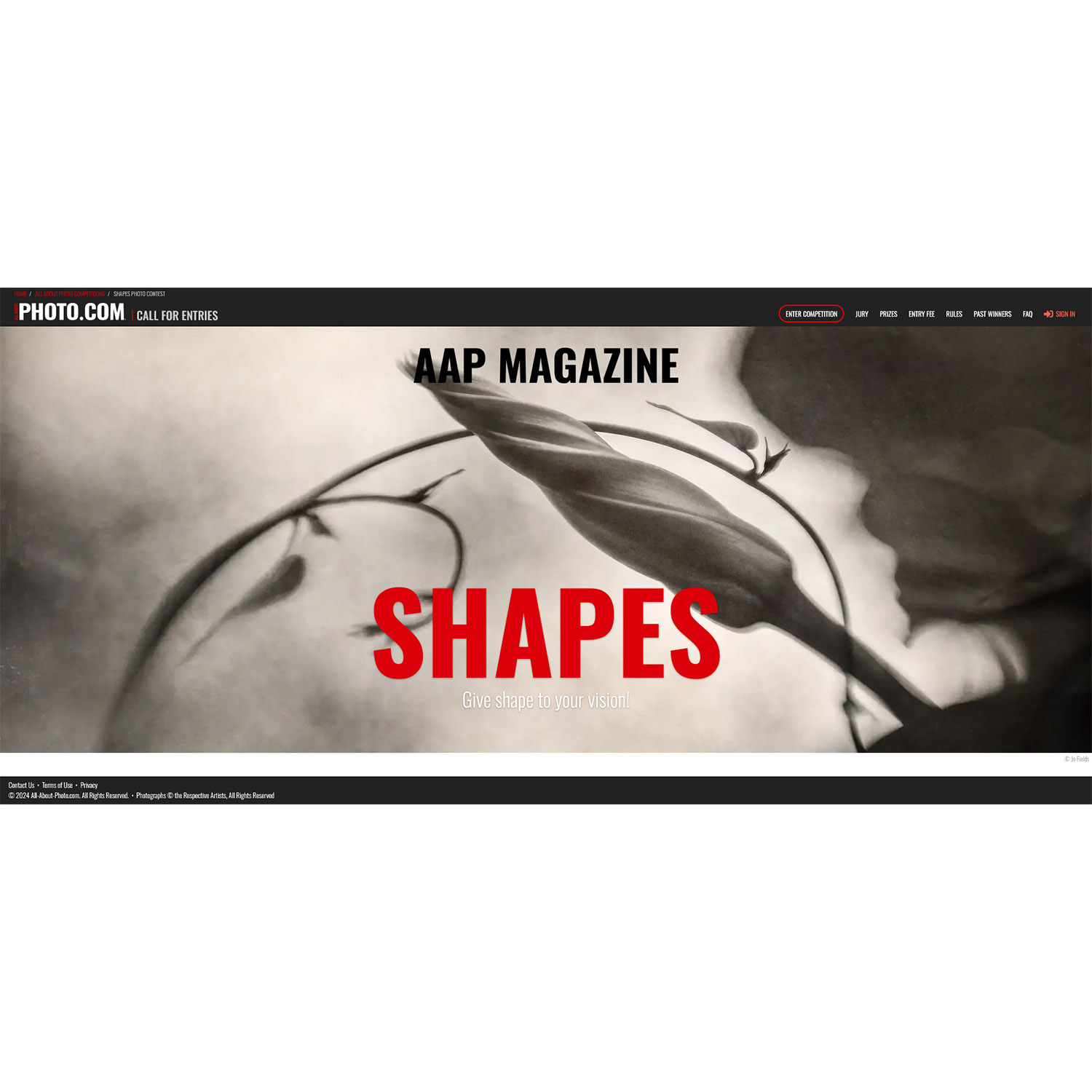 AAP Magazine #42 Shapes AAP Magazine #42 Shapes