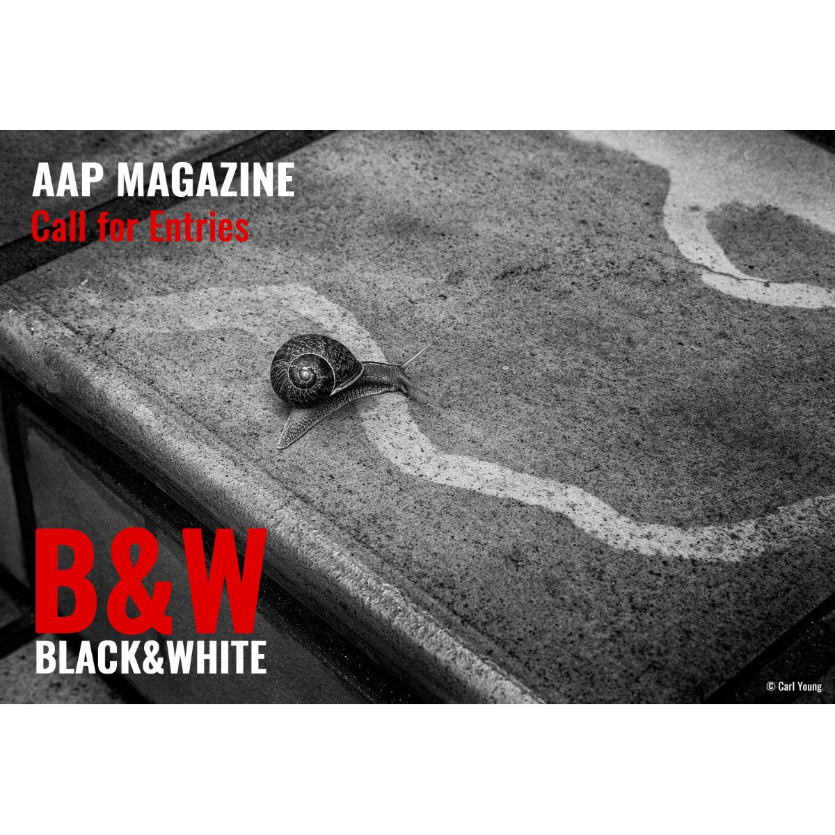 AAP Magazine #49 B&W AAP Magazine #49 B&W