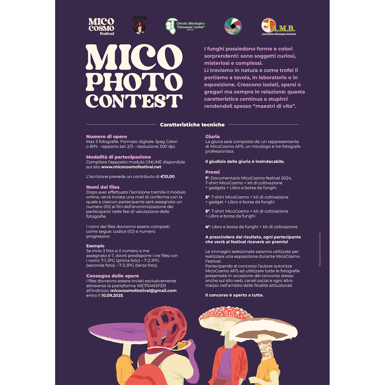 Mico photo contest Mico photo contest