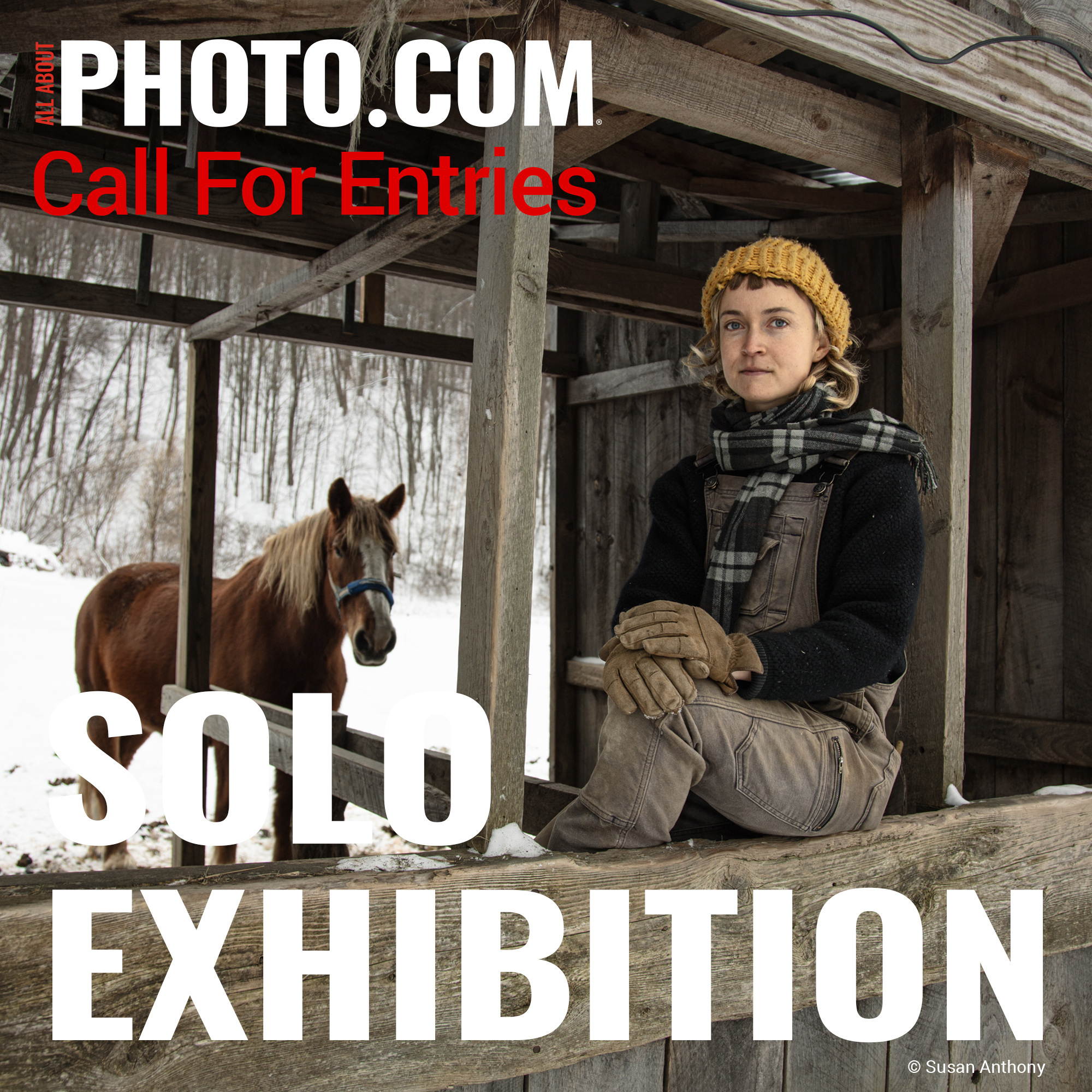 Solo Exhibition Dicember 2025 - Concorsi