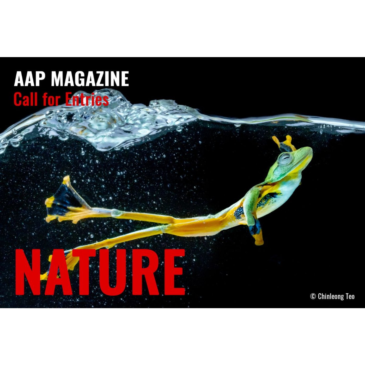 AAP Magazine #60 Nature - All About Photo Awards 2026 - Concorsi
