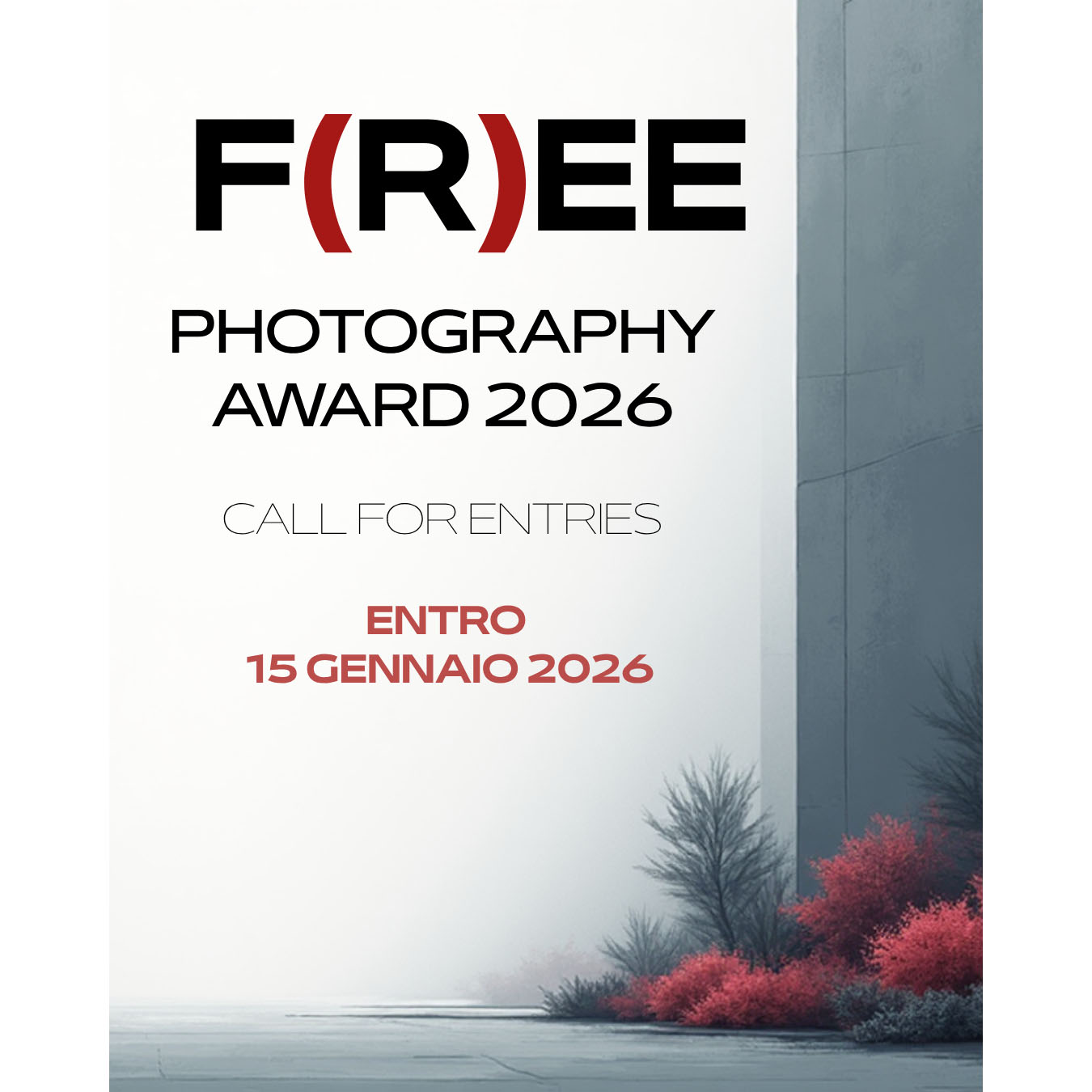 Premio F(R)EE | Il prezzo della libertà nell’era dell’immagine - Concorsi