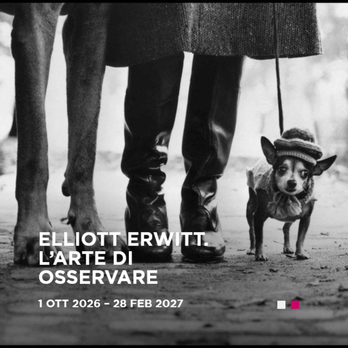 Elliott Erwitt. L